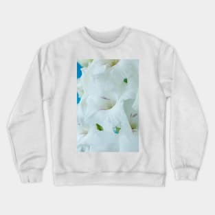 Gladiolus  'White Friendship' Crewneck Sweatshirt